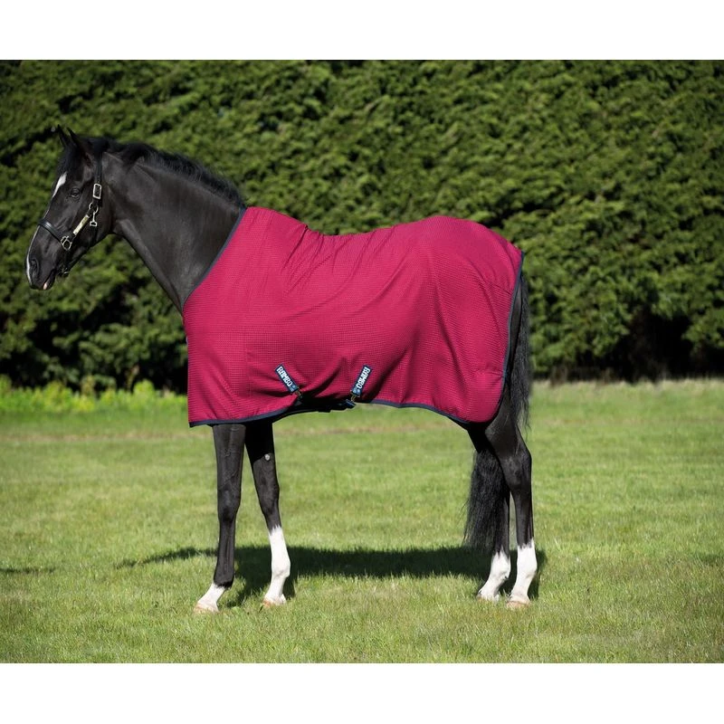 Rambo Techni Waffle Cooler - Burgundy/Black 2 Rambo Techni Waffle Cooler - Burgundy/Black - Image 2