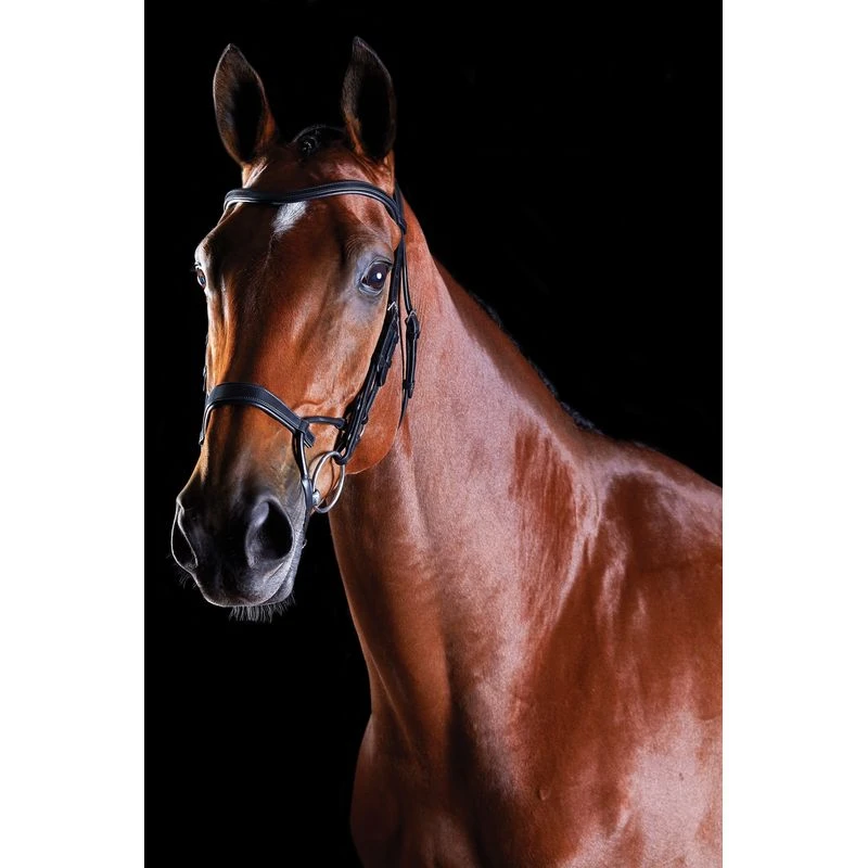 Collegiate Comfitec Training Bridle - Black 2 Collegiate Comfitec Training Bridle - Black - Image 2