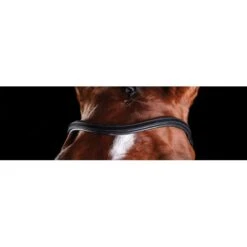 Collegiate Comfitec Training Bridle - Black 6 Collegiate Comfitec Training Bridle - Black -Equestrian supplies 322012 800 800