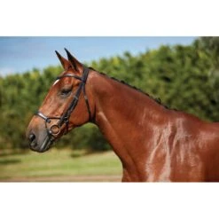 Collegiate Comfitec Training Bridle - Black 7 Collegiate Comfitec Training Bridle - Black -Equestrian supplies 322013 800 800