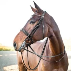 Horze Vienna Weymouth Dressage Bridle - Black -Equestrian supplies 386465 800 800