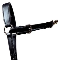 Equestrian supplies -Equestrian supplies 403590 800 800