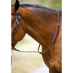 Nunn Finer Standing Martingale - Black/Brass -Equestrian supplies 407361 800 800