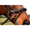 Nunn Finer Aformadii Shaped Bridle - Havana