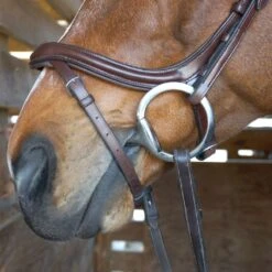 Nunn Finer Aformadii Shaped Bridle - Havana -Equestrian supplies 407782 800 800