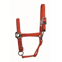 Western Rawhide Signature Halter W/Antique Silver Hardware W/Snap - Flame