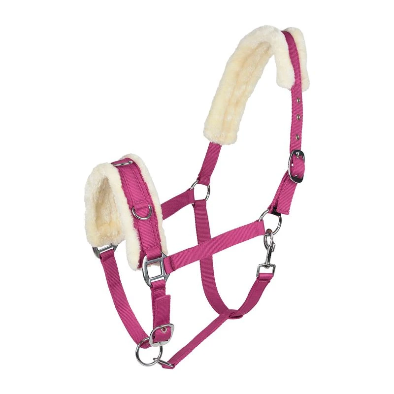 Horze Lunging Cavesson - Raspberry Pink 1 Horze Lunging Cavesson - Raspberry Pink