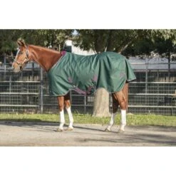 Kensington Signature Heavy Weight Turnout - Hunter