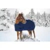 Kensington Signature Adjustable Weanling Turnout - Navy