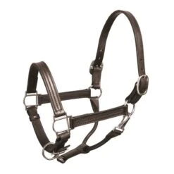 Perri's 1" Leather Show Halter - Black/Chrome