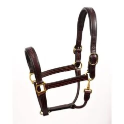 Perri's Fancy Stitched Padded Leather Halter - Havana/Havana