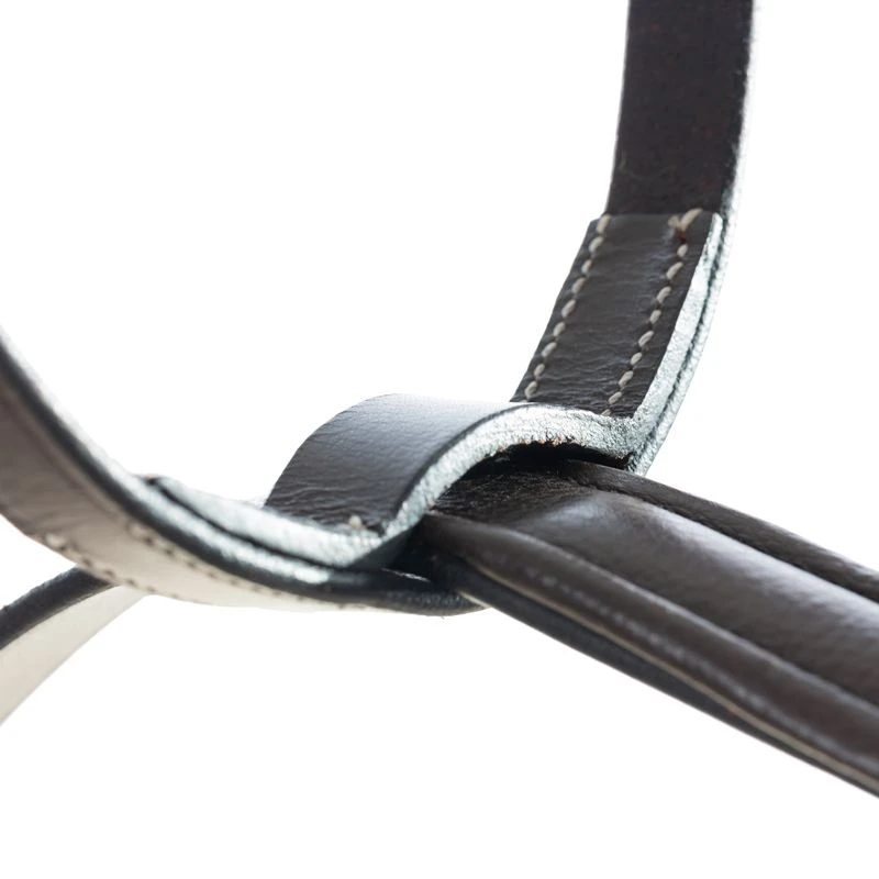 Equinavia Saga Running Martingale - Chocolate Brown 2 Equinavia Saga Running Martingale - Chocolate Brown - Image 2