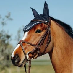 Horze Ella Pony Ear Net - Peacoat Dark Blue -Equestrian supplies 545169 800 800