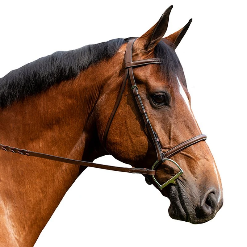 Flex Rider Plain Raised Snaffle Bridle - Cognac 1 Flex Rider Plain Raised Snaffle Bridle - Cognac