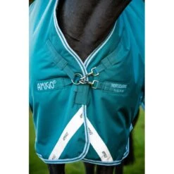 Amigo Bravo 12 Wug Turnout 250g - Storm Green/Aqua/Turquoise -Equestrian supplies 555698 800 800