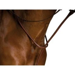 Kincade Raised Martingale Standing - Brown