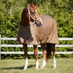Horze Glasgow Heavy Weight Turnout Blanket 350g - Cocoa Mocha -Equestrian supplies 583903 800 800