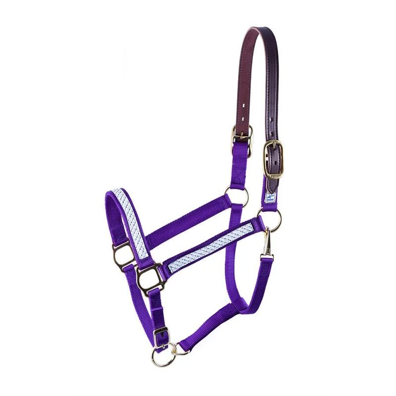 Perri's Ribbon Safety Halter - Purple Arrows 1 Perri's Ribbon Safety Halter - Purple Arrows
