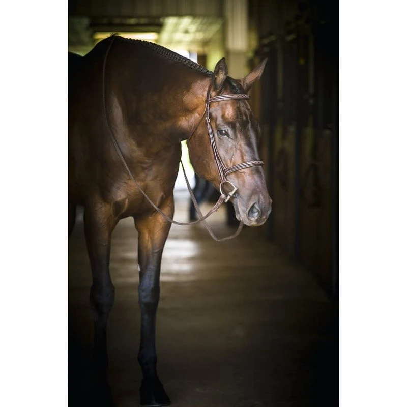 Perri's Pro Fancy Stitched Hunter Bridle - Havana 3 Perri's Pro Fancy Stitched Hunter Bridle - Havana - Image 3