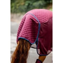 Rambo Travel Series - Burgundy/Teal/Navy -Equestrian supplies 606789 800 800