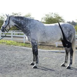 Ice Horse Stifle Wrap - Black -Equestrian supplies 632119 800 800