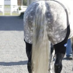 Ice Horse Stifle Wrap - Black -Equestrian supplies 632120 800 800