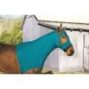 Perri's Lycra Mane Hood - Turquoise