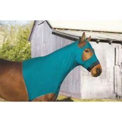 Perri's Lycra Mane Hood - Turquoise
