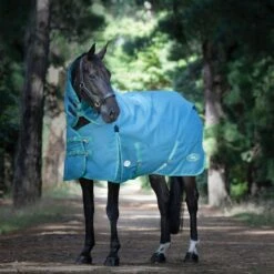 Weatherbeeta Green-Tec 900D Detach-A-Neck Medium Turnout Blanket - Dragonfly Blue/Bottle Green