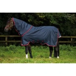 Amigo Bravo 12 Pony Plus Heavy - Navy/Red/Blue