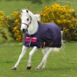 Amigo Hero ACY Pony Turnout - Grape/Pink/White/Powder Blue