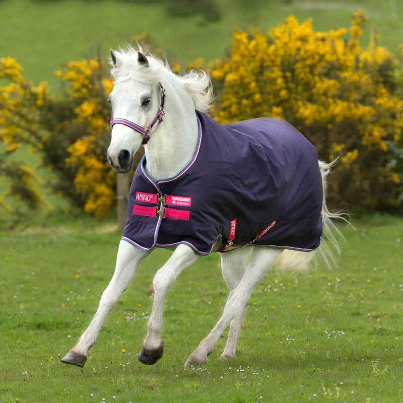 Amigo Hero ACY Pony Turnout - Grape/Pink/White/Powder Blue 1 Amigo Hero ACY Pony Turnout - Grape/Pink/White/Powder Blue