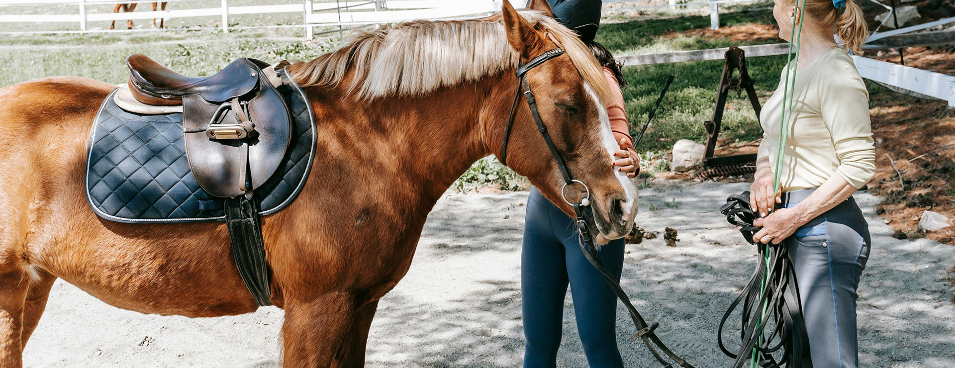 Equestrian supplies -Equestrian supplies pexels barbara olsen 7882552